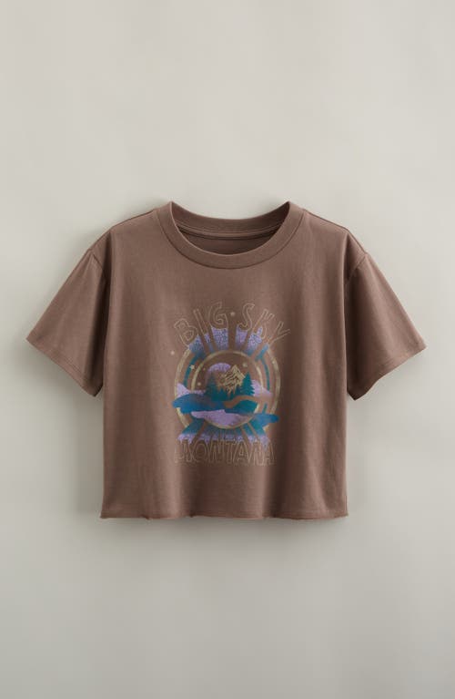 Treasure & Bond Kids' Crop Cotton Graphic T-Shirt in Brown Falcon Big Sky 