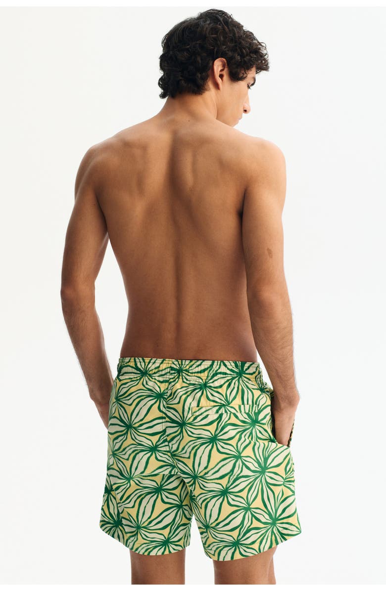 H&M Patterned Swim Shorts, Alternate, color, Green/Patterned