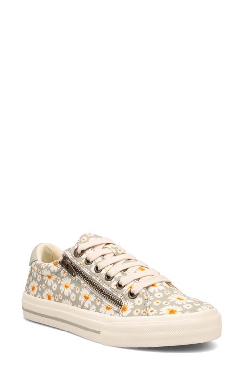 Taos Z-soul Platform Sneaker In White