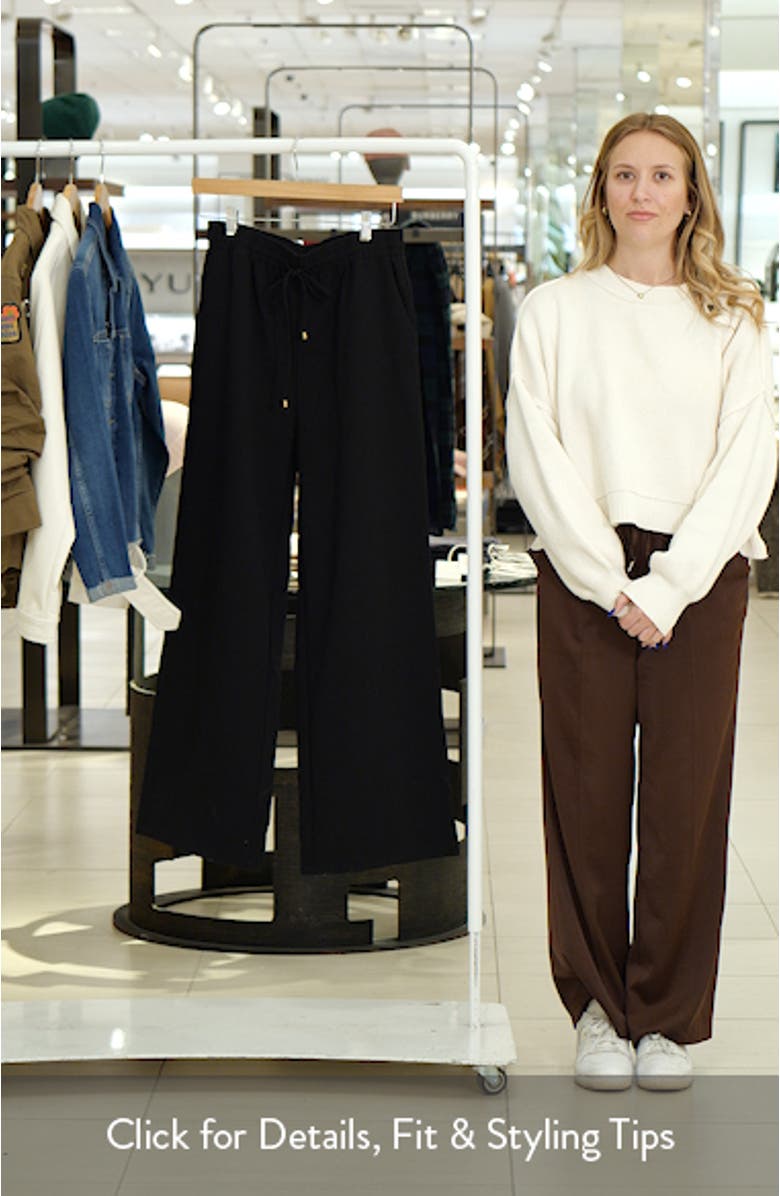Tie Waist Wide Leg Crepe Pants, sales video thumbnail