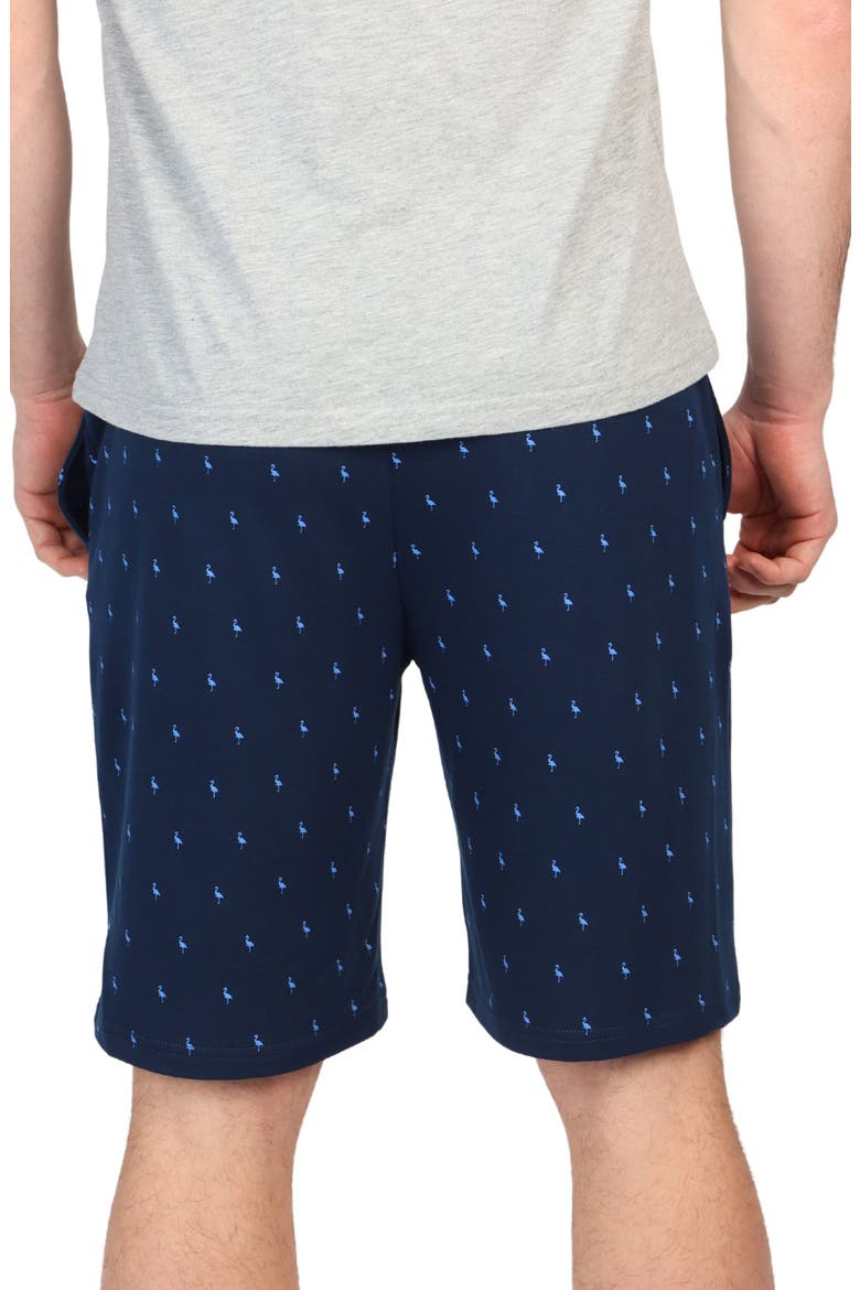 Byrd Print French Terry Shorts, Alternate, color, NAVY