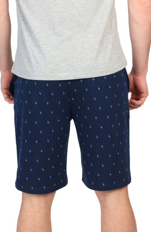 Tailorbyrd Byrd Print French Terry Shorts In Navy