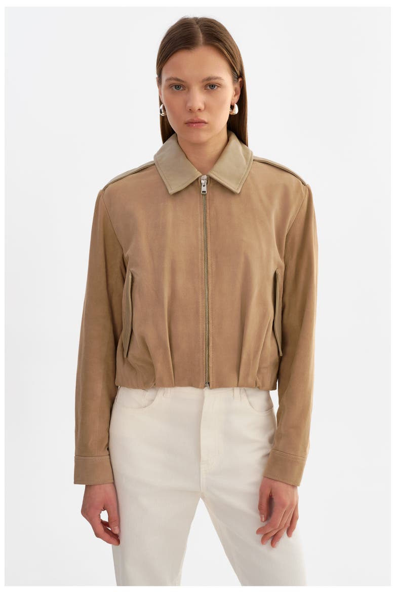 Robbie | Suede Bomber Jacket, Alternate, color, Beige