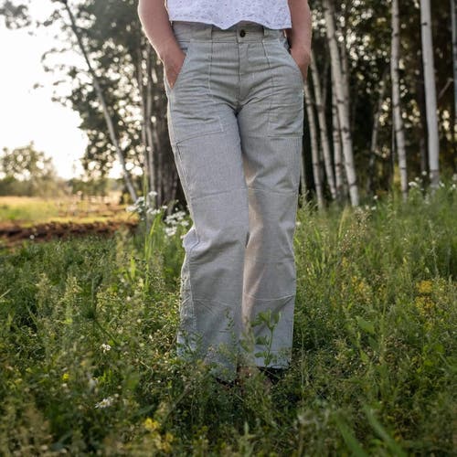 Jackalo Charlie Pants In Engineer's Stripe
