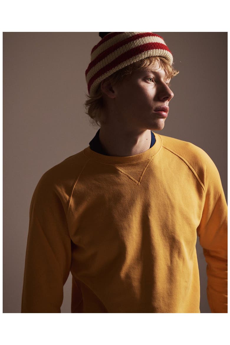 Harvard Fleece Jersey Raglan Sleeve Sweatshirt, Alternate, color, YELLOW