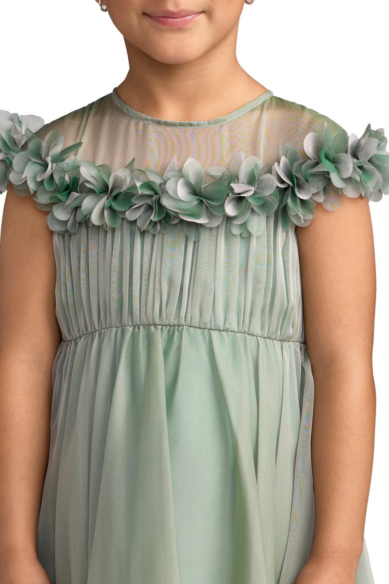 Girls Floral Applique Chiffon A-Line Dress, Alternate, color, Sage
