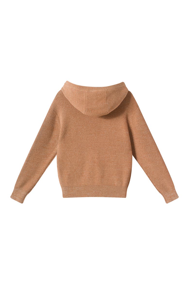 Kids' Embroidered Cotton Hooded Sweater, Alternate, color, BGA-BEIGE THANKS