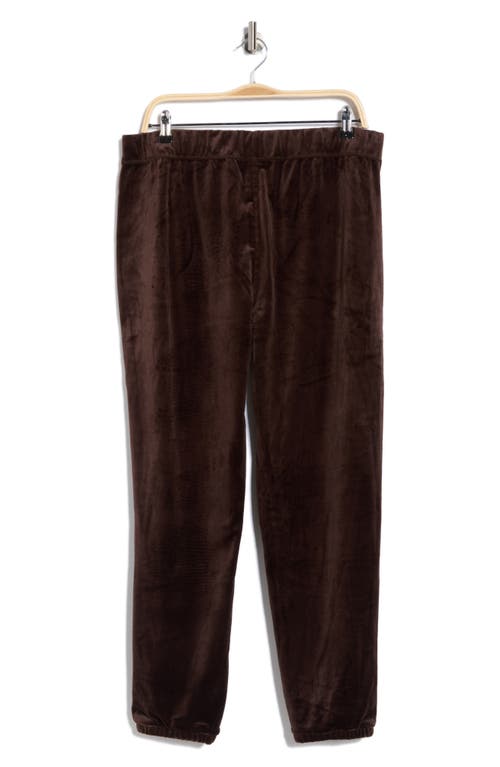Dkny Rhinestone Logo High Waist Joggers In Brown