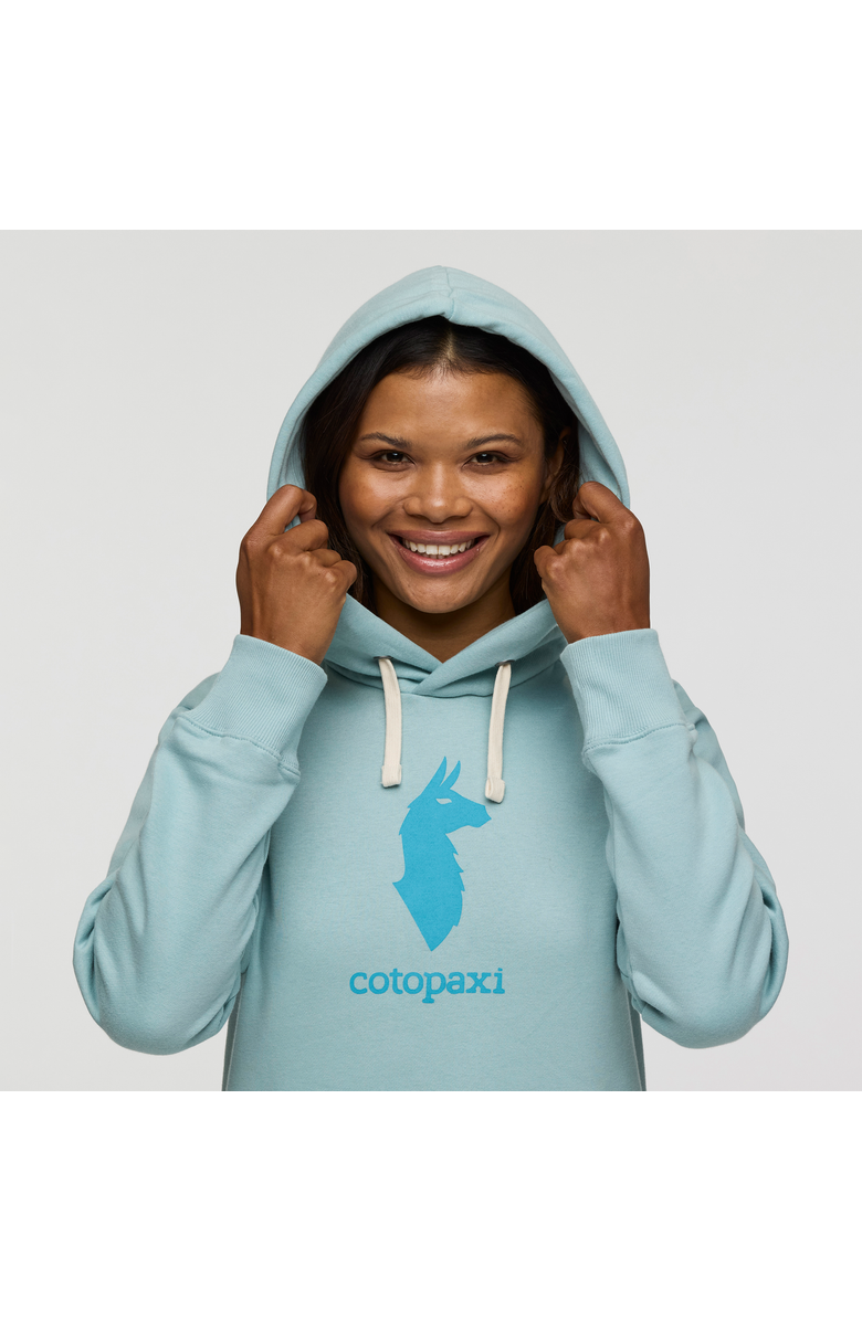 Cotopaxi Llama Pullover Hoodie - Women's, Alternate, color, Cargo