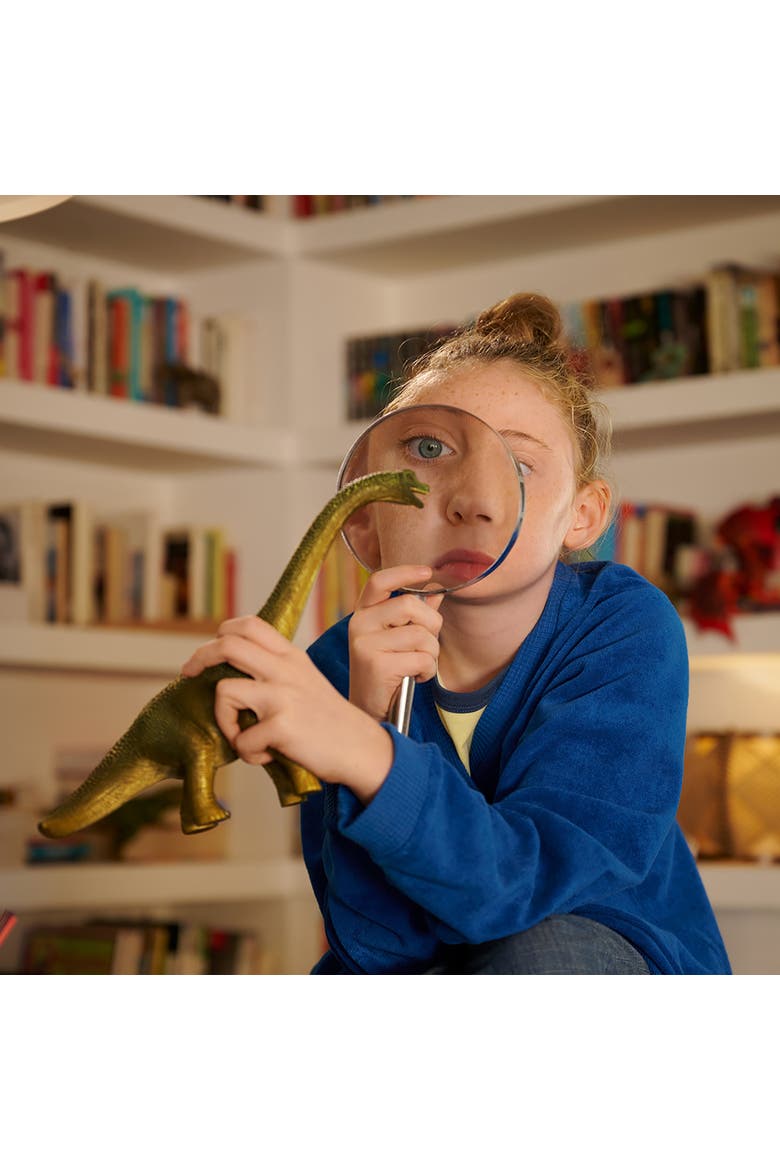 Brachiosaurus  9.6" Dinosaur Action Figure, Realistic Dino Collectible, Kids, Alternate, color, Multicolored