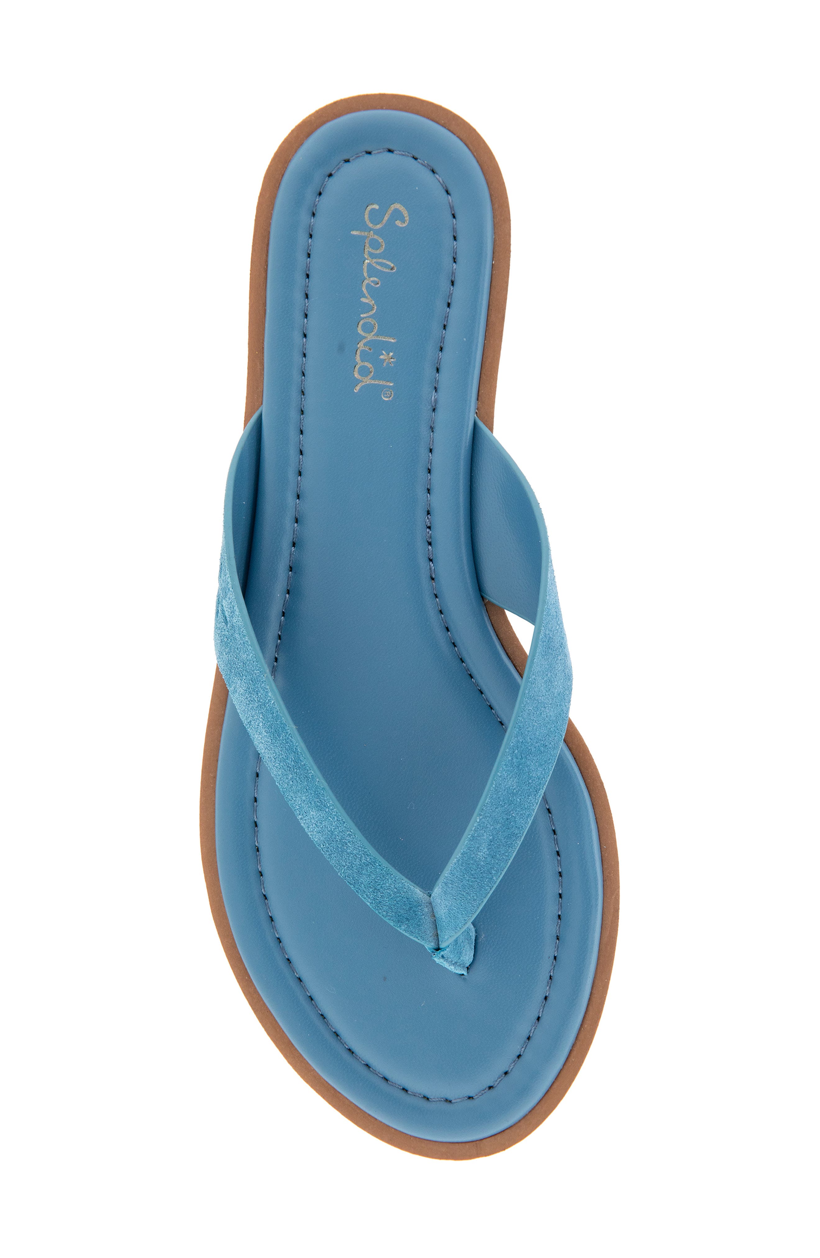 Splendid Ravi Flip Flop Sandal, Alternate, color, Indigo