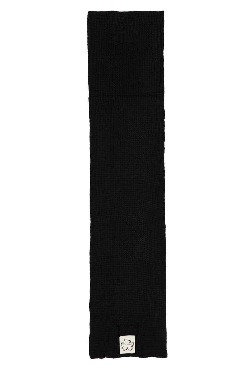 Ted Baker London Bex Dasher Scarf, Alternate, color, 