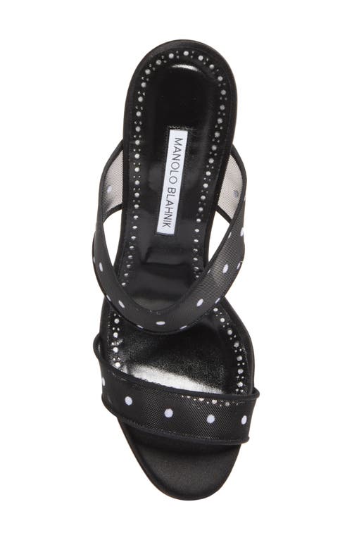 Manolo Blahnik Scoltobi Polka Dot Mesh Sandal