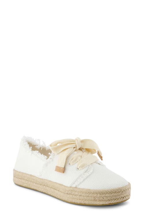 TOMS TOMS CAROLINA LACE-UP ESPADRILLE
