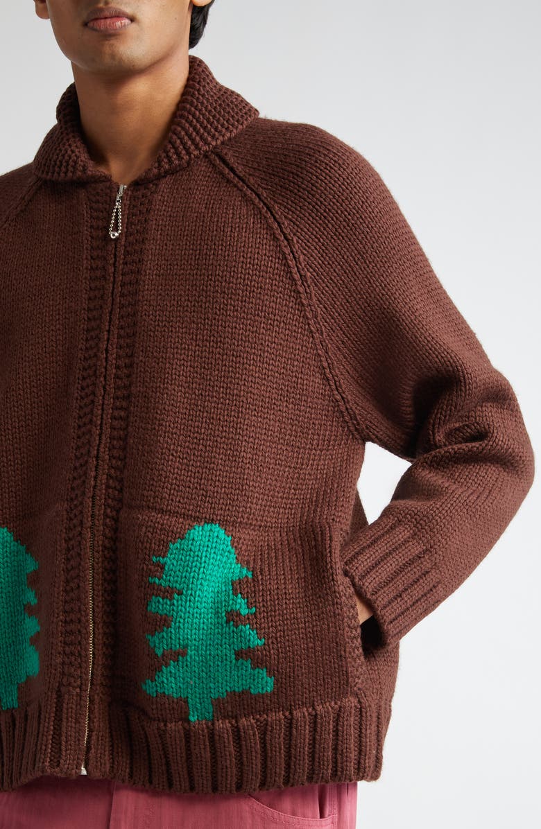 Bode Fir Shawl Collar Wool Zip Cardigan, Alternate, color, Brown