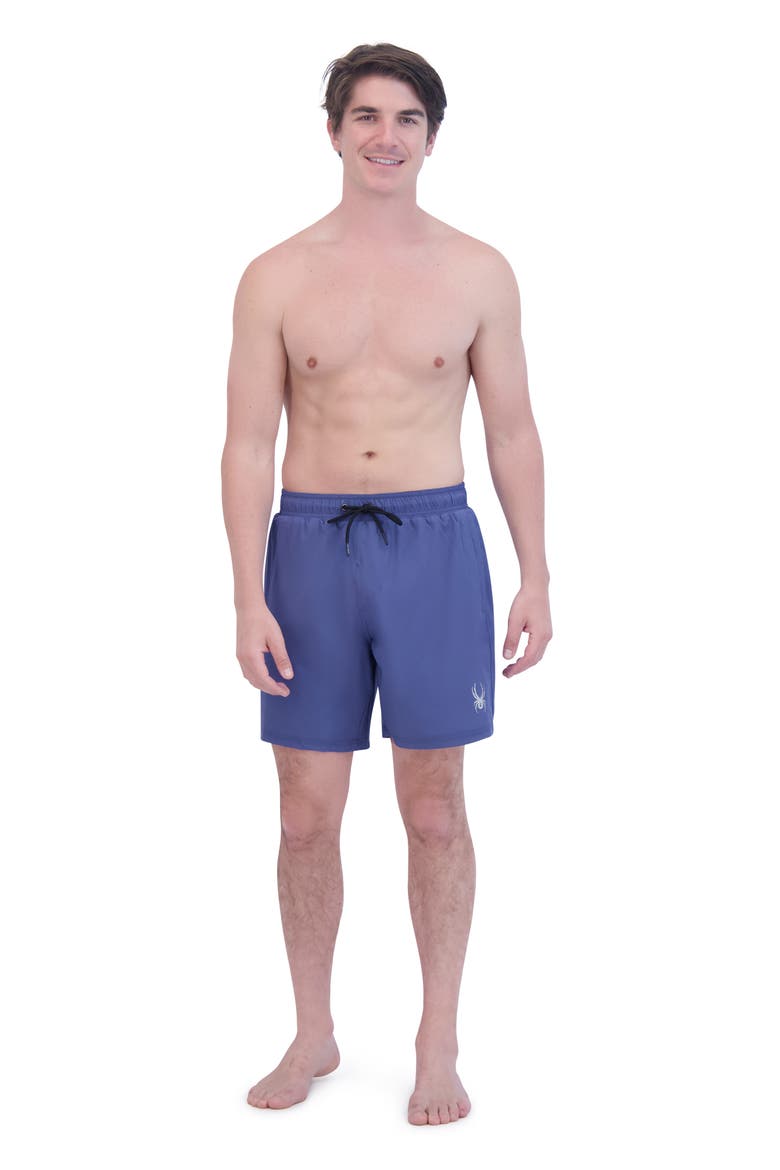 7-Inch Volley Swim Shorts, Alternate, color, GRAY/ BLUE