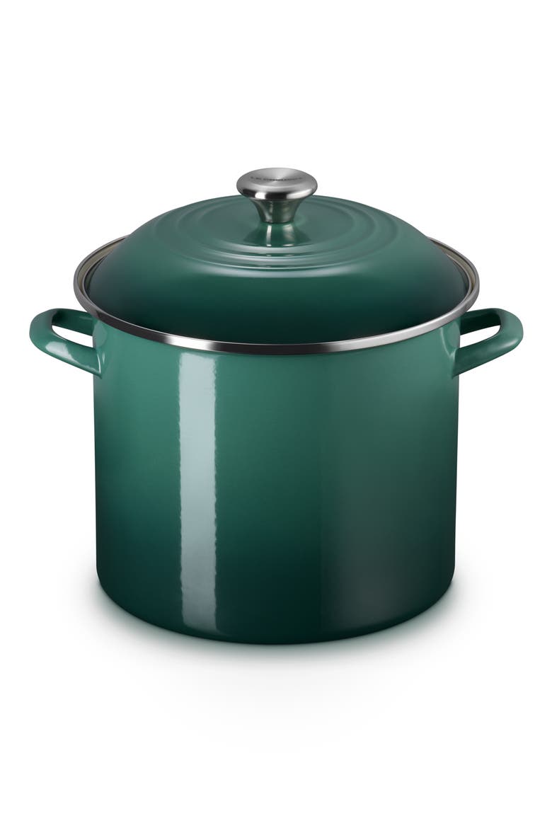 Enameled Stainless Steel Stockpot, Main, color, ARTICHAUT