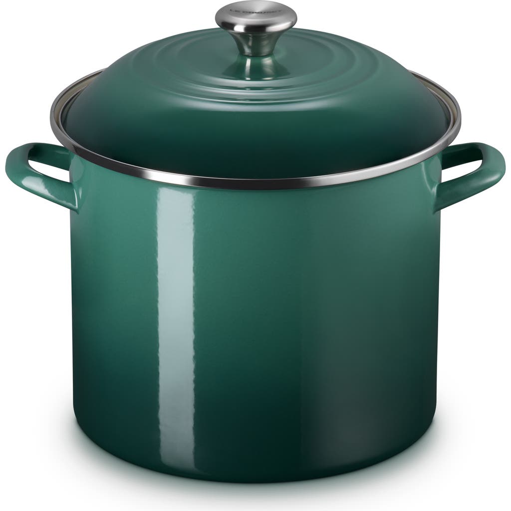 Le Creuset Enameled Stainless Steel Stockpot In Green