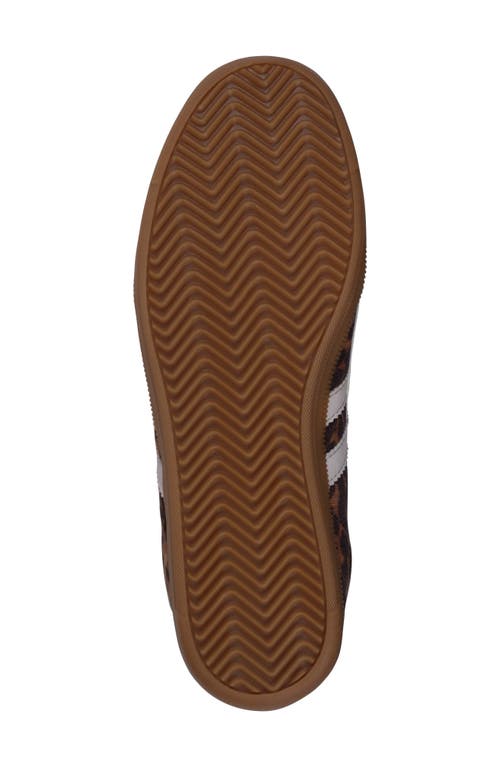 Gc Shoes Dakkah Sneaker In Leopard