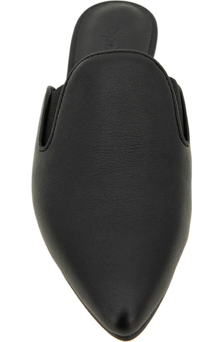Splendid Liza Pointed Toe Mule, Alternate, color,