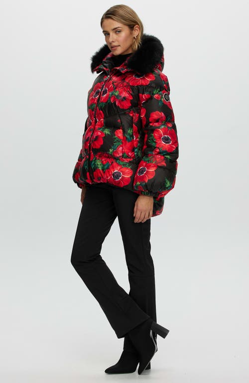 Gorski Apres-ski High-low Jacket With Detachable Lamb Hood Trim In Red
