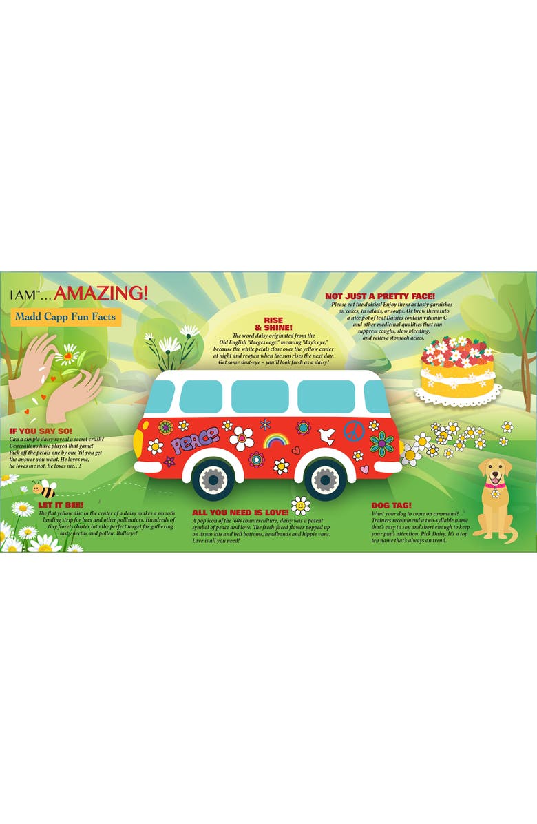 Madd Capp I Am Daisy 350 Piece Jigsaw Puzzle 23X23 Inch, Alternate, color, Multicolored