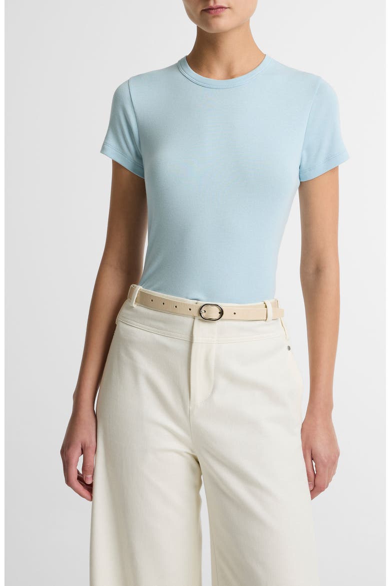 Shrunken '90s T-Shirt, Main, color, CLEARWATER