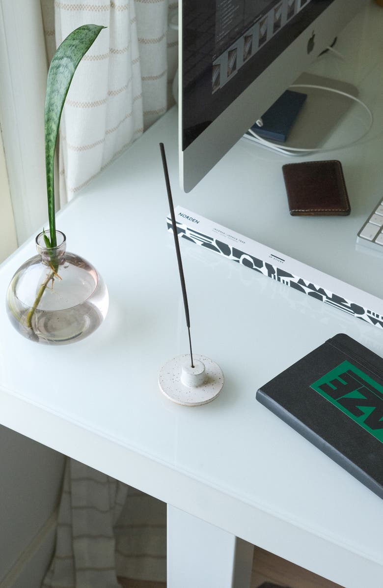 NORDEN Joshua Tree Incense Sticks, Alternate, color, 