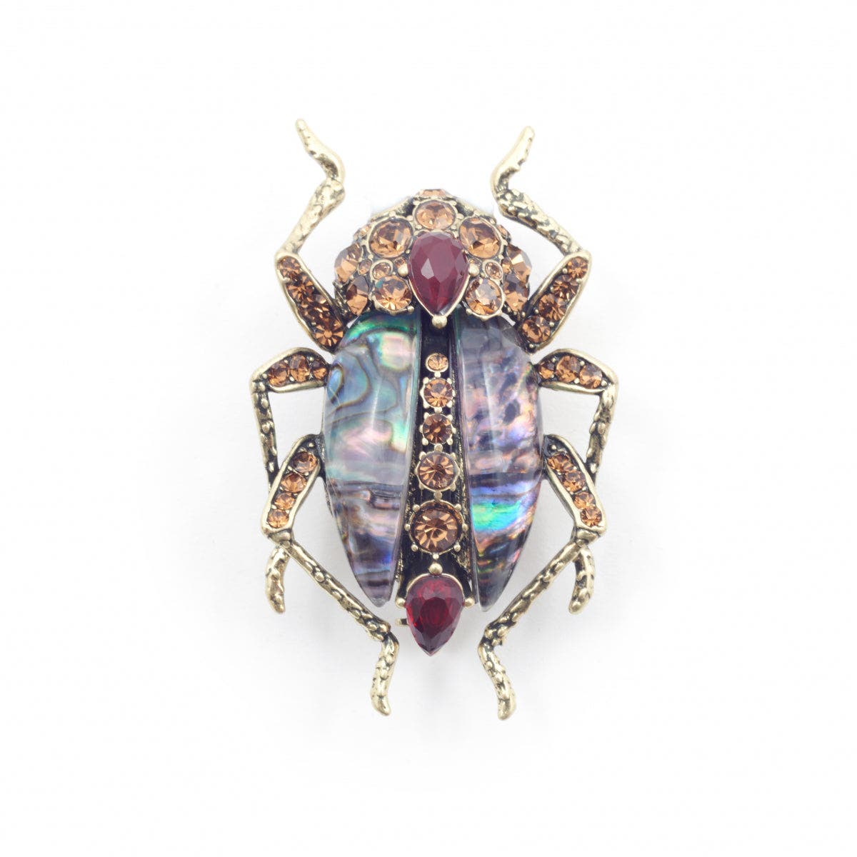 selected Beetle