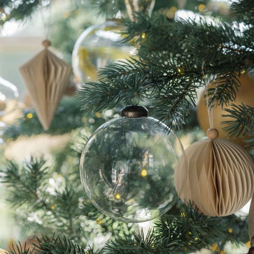 Cg Hunter 4" Clear Glass Ornament In Transparent