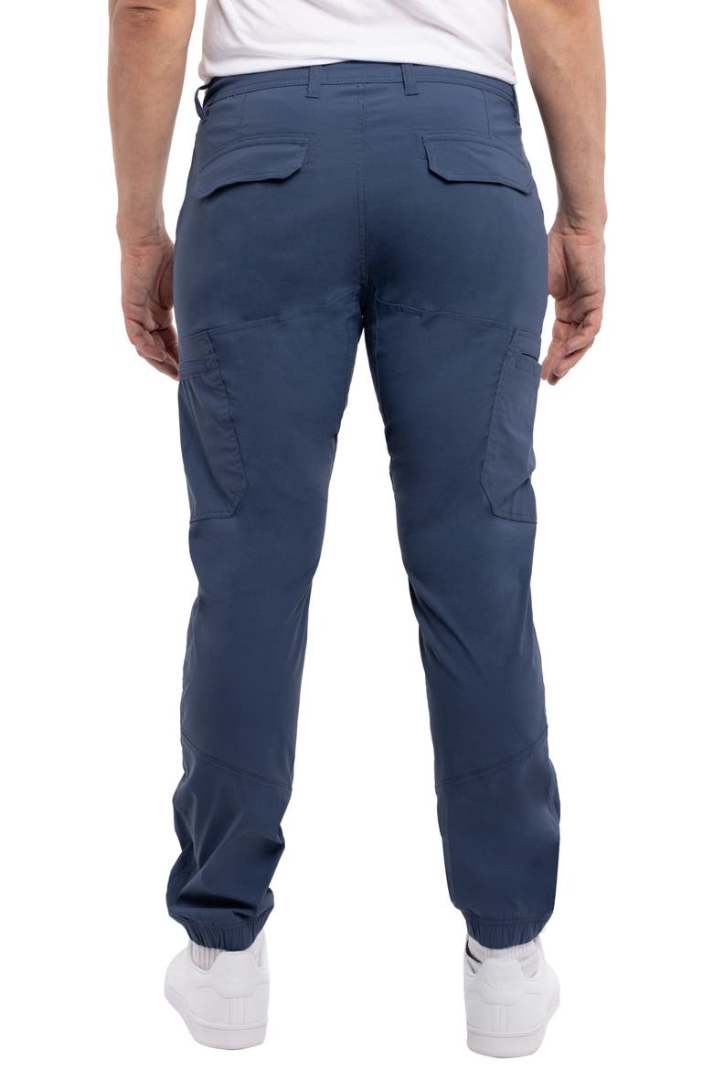 Slim Leg Cargo Pants, Alternate, color, NAVY