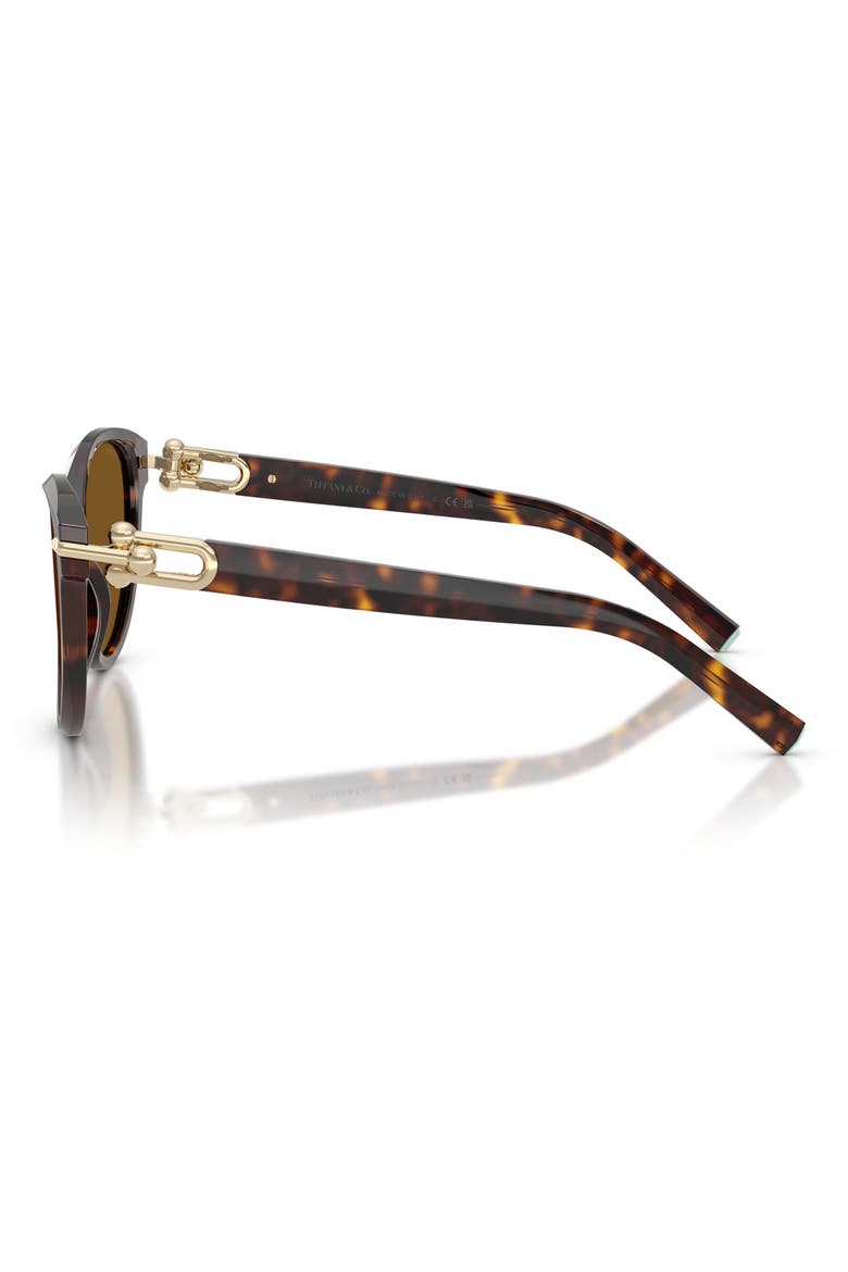 56mm Polarized Cat Eye Sunglasses, Alternate, color, HAVANA / DARK BROWN POLAR