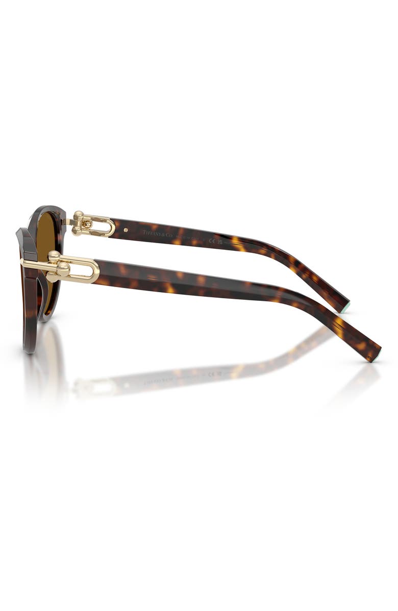 Tiffany & Co. 56mm Polarized Cat Eye Sunglasses, Alternate, color, Havana / Dark Brown Polar