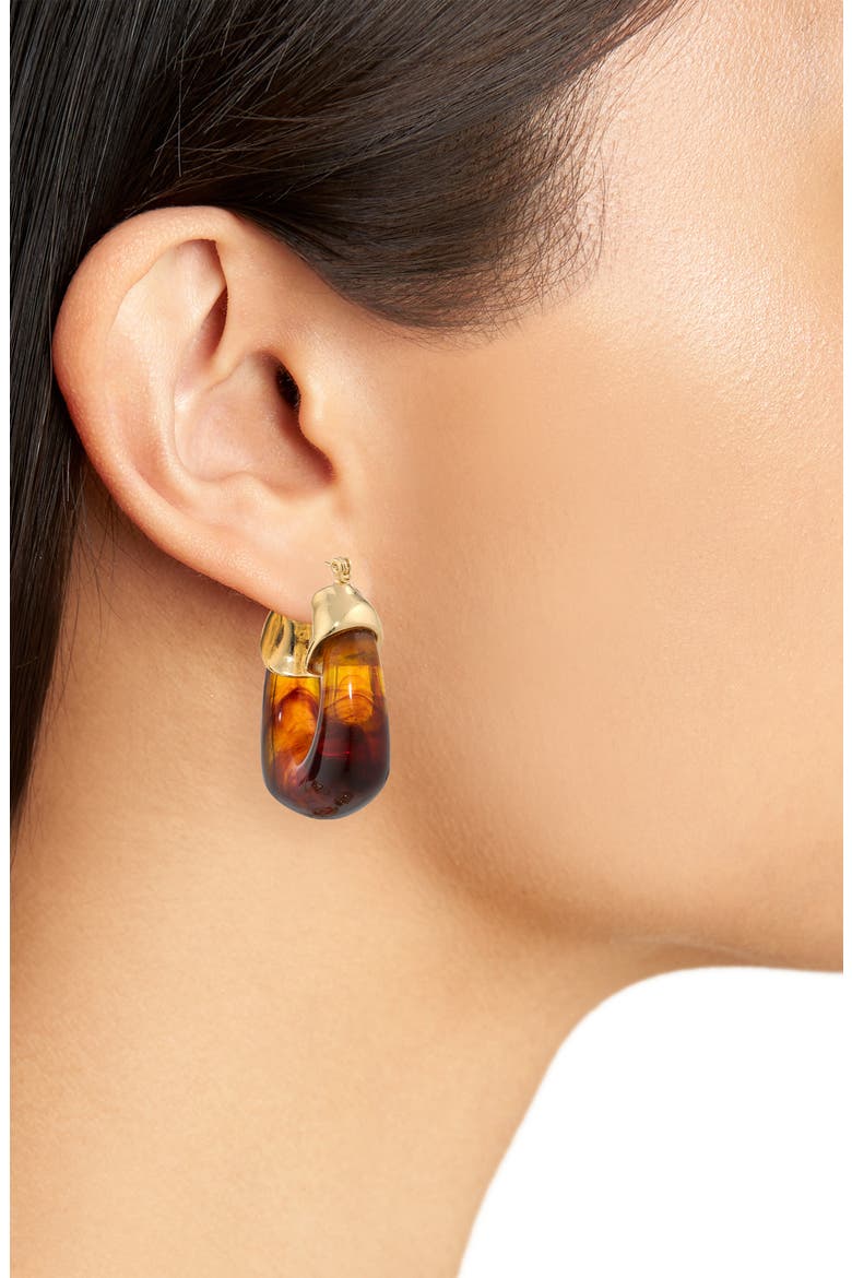 Set of 2 Resin Hoop Earrings, Alternate, color, CLEAR/ BROWN
