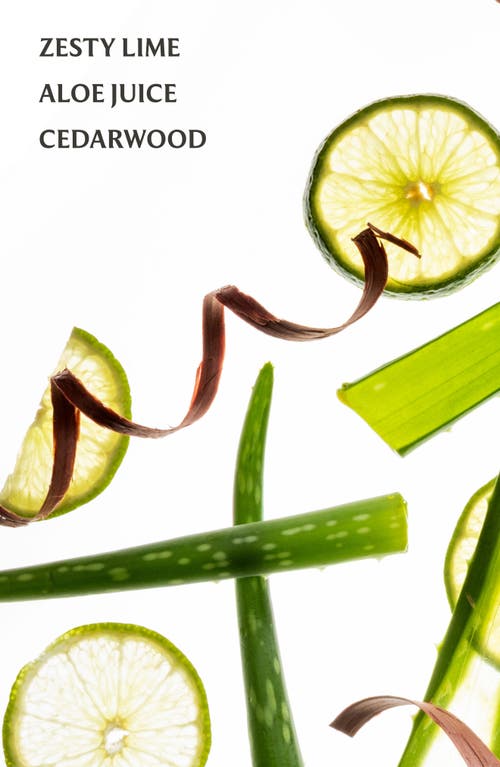 Touchland Power Mist Hydrating Hand Sanitizer In Green