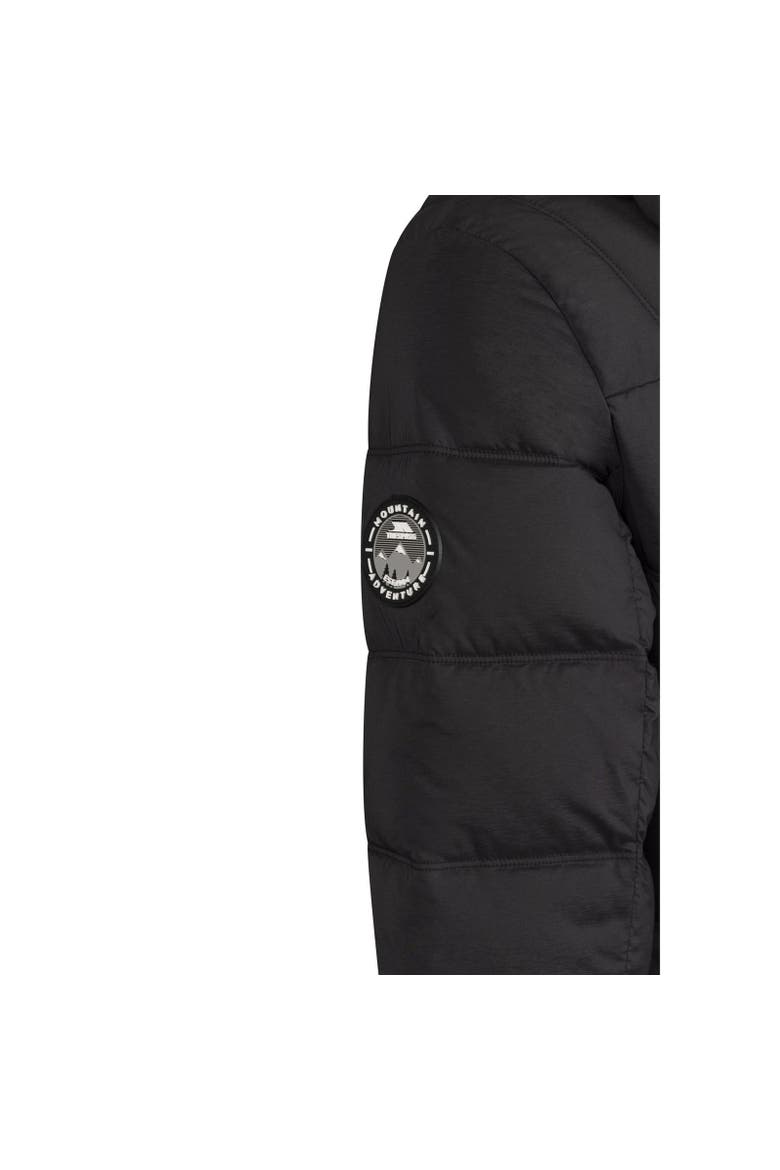 Rollins Hooded Jacket, Alternate, color, Black