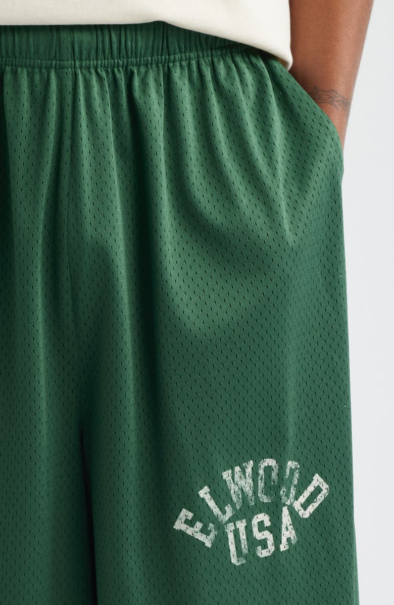 Elwood Canopy Mesh Basketball Shorts, Alternate, color, Pine