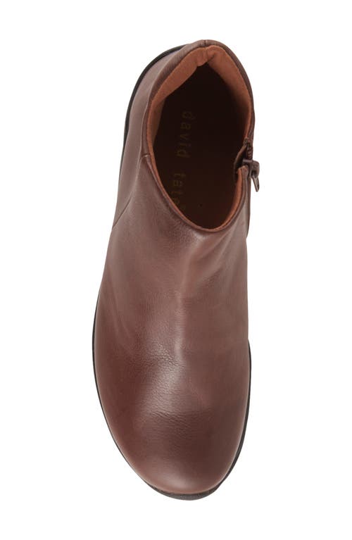 David Tate Sportivo Waterproof Bootie In Brown