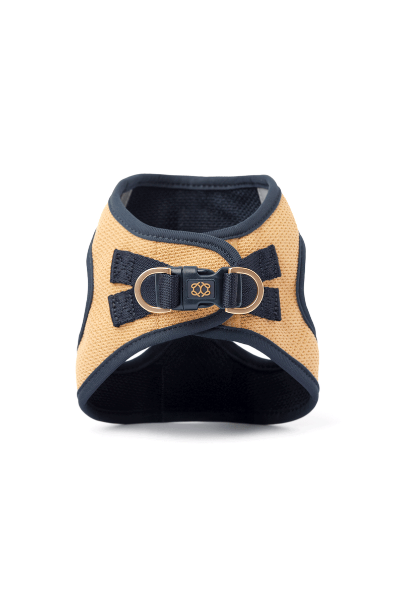 City Leash Set, Alternate, color, Hamptons