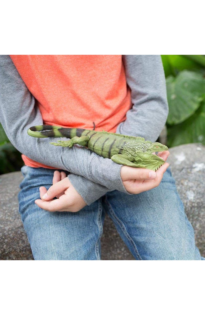 Safari Ltd. Iguana Toy, Alternate, color, NO COLOR
