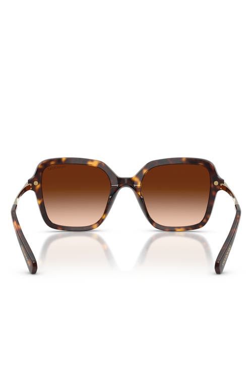 Swarovski Sk6040 Crystal-embellished Square Acetate Sunglasses In Brown