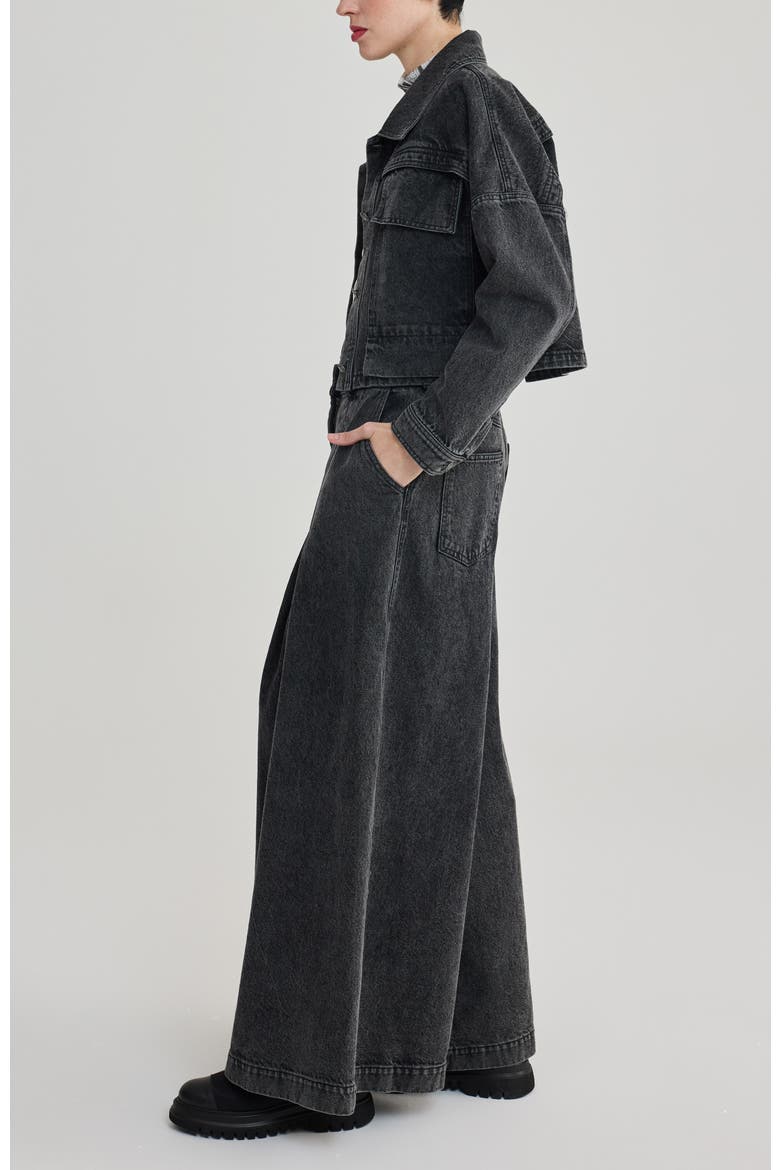 Raine Pleated Wide-Leg Jeans, Alternate, color, Black