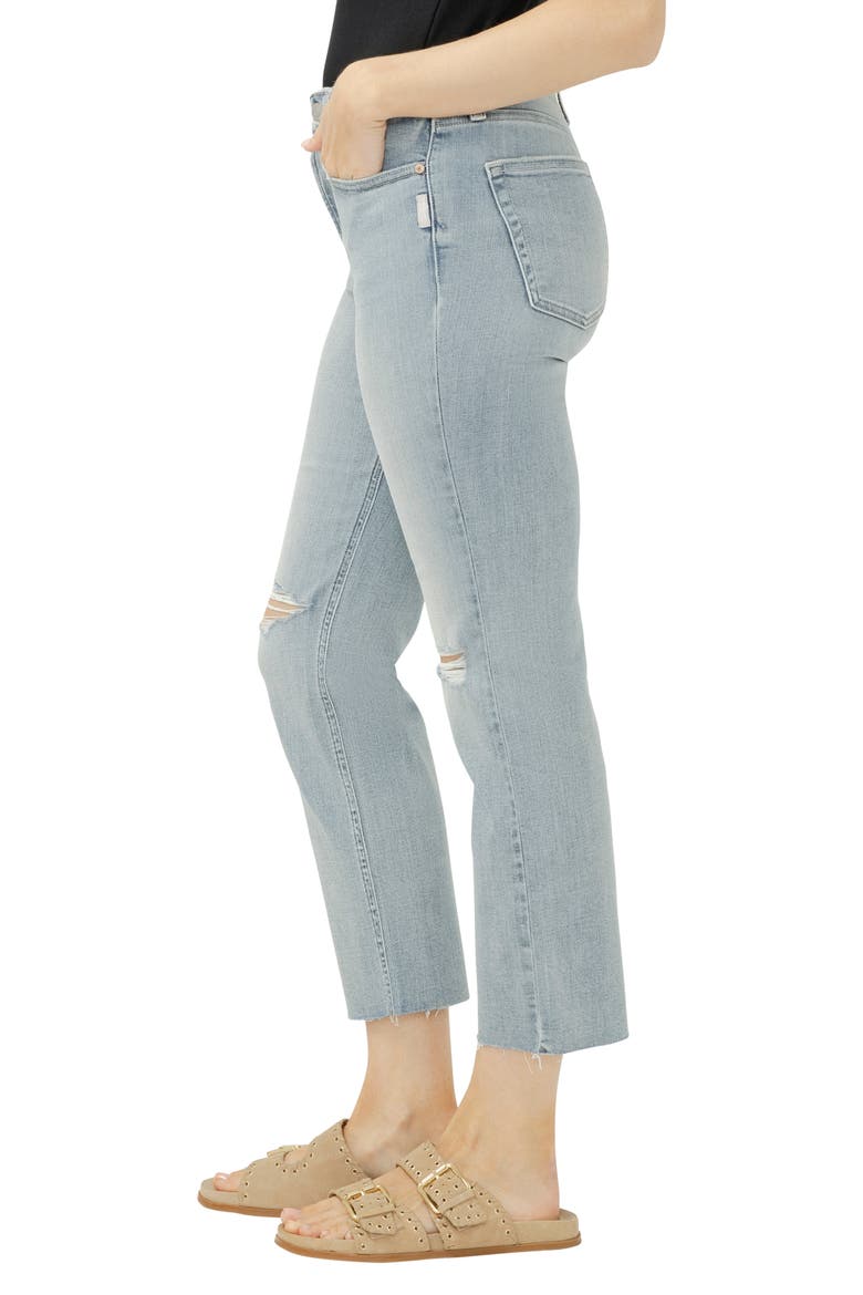 Most Wanted Ripped Mid Rise Ankle Straight Leg Jeans, Alternate, color, HIGHLAND