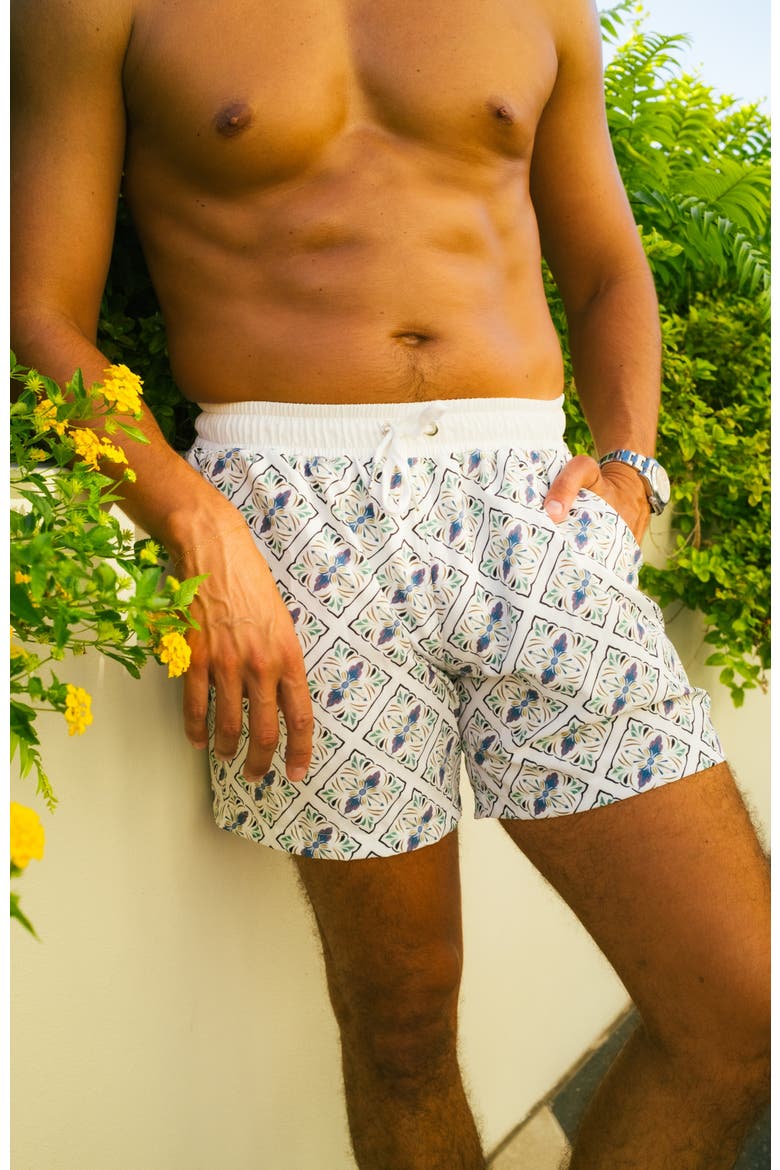 Alessandro Shorts, Alternate, color, Blue Mosaic