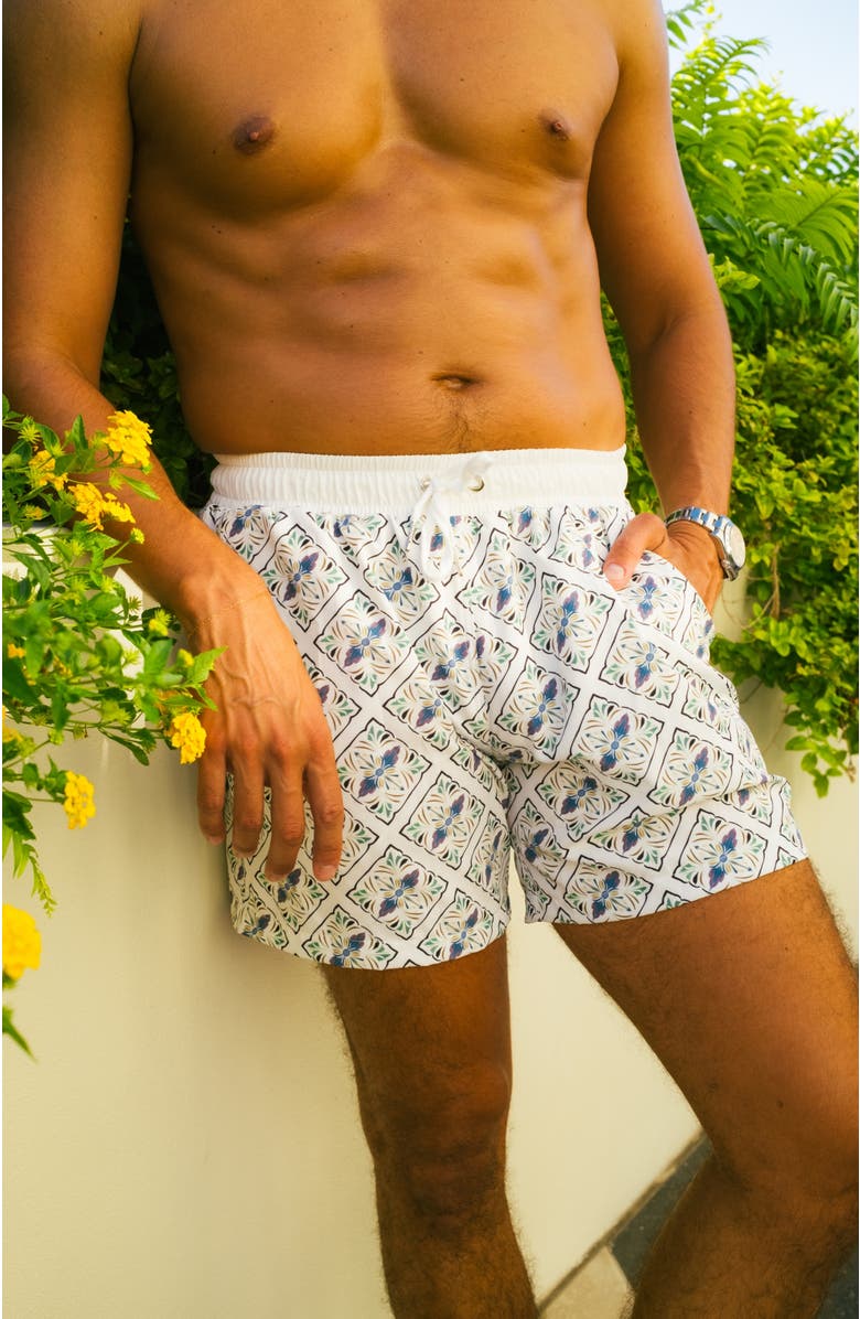Ivy Swimwear Alessandro Shorts, Alternate, color, Blue Mosaic