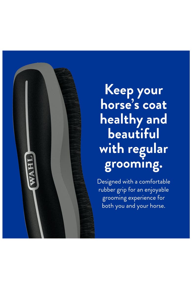 Equine grooming stiff body horse brush, Alternate, color, Black