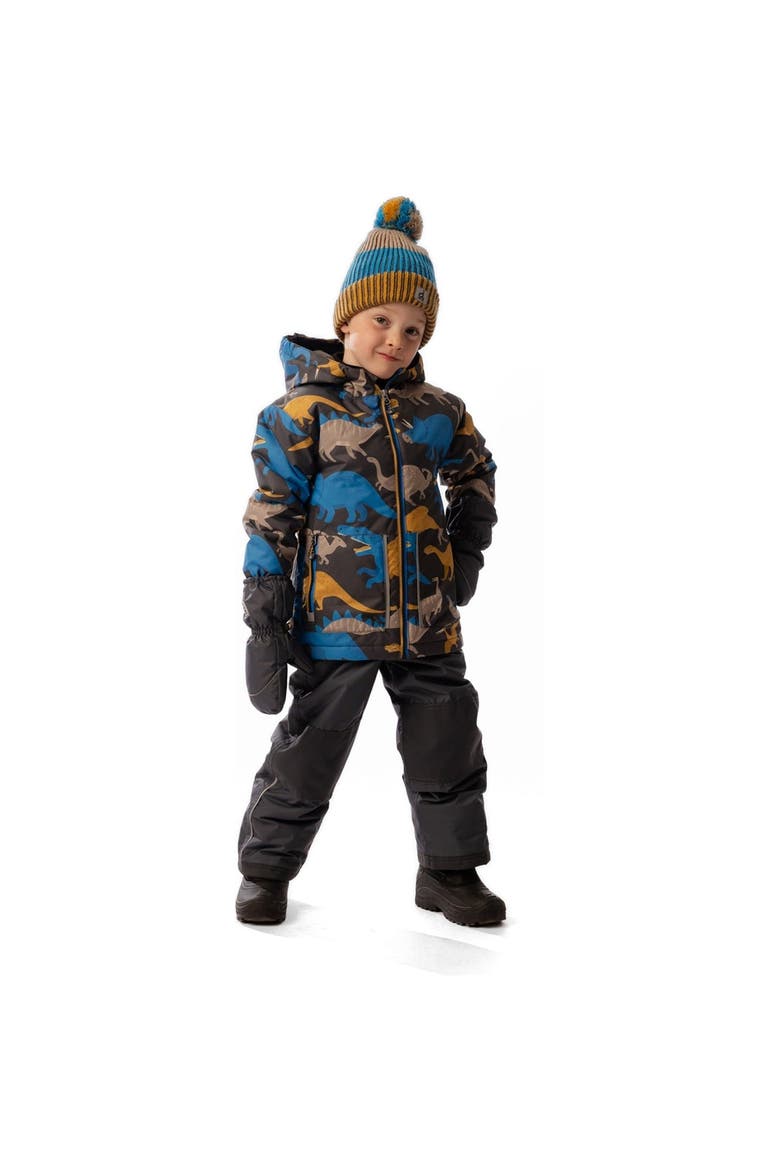 Dinosaur Chill Lightweight Jacket & Foot Strap Pants Two Piece Snowsuit, Alternate, color, Grey and Blue Dinosaur Print
