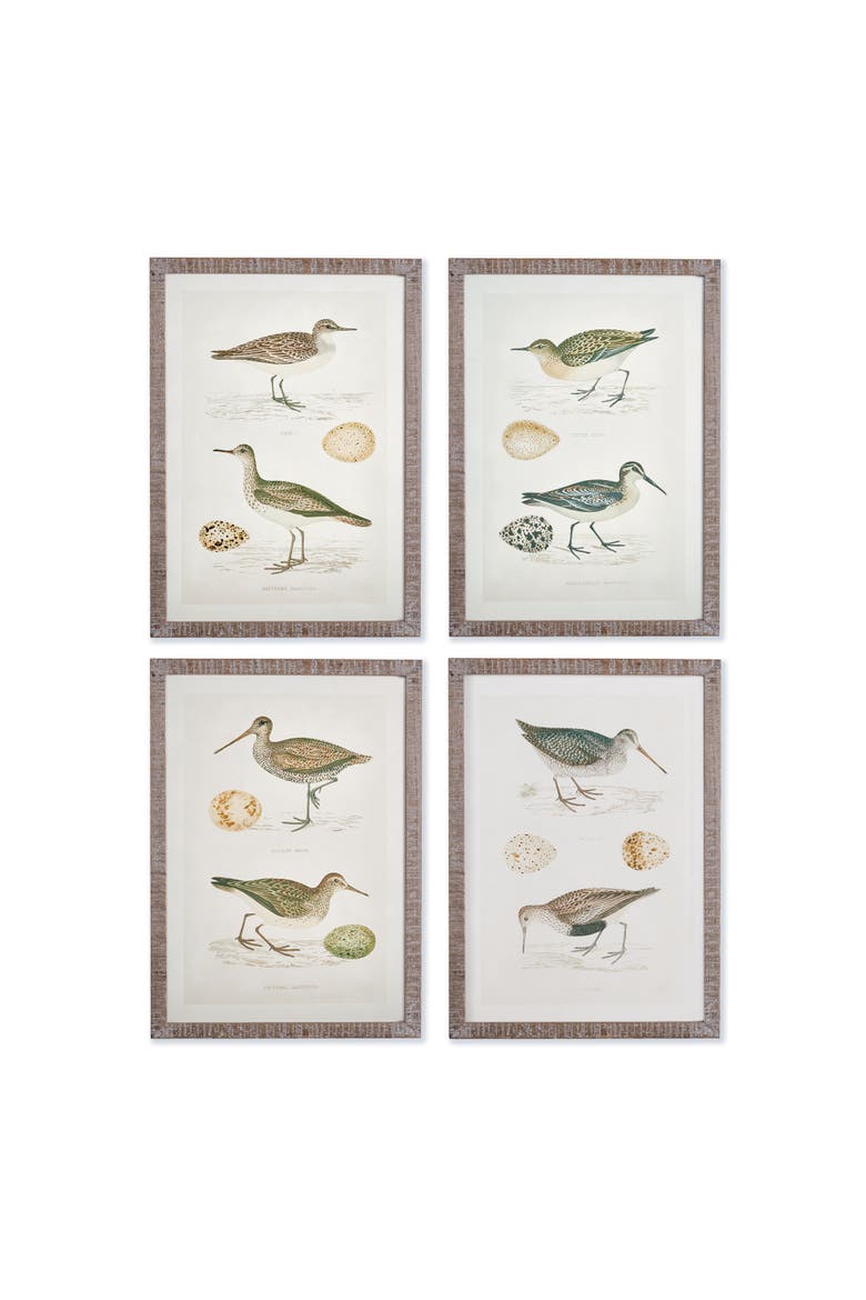 Coastal Birds Study Set of 4, Main, color, Green