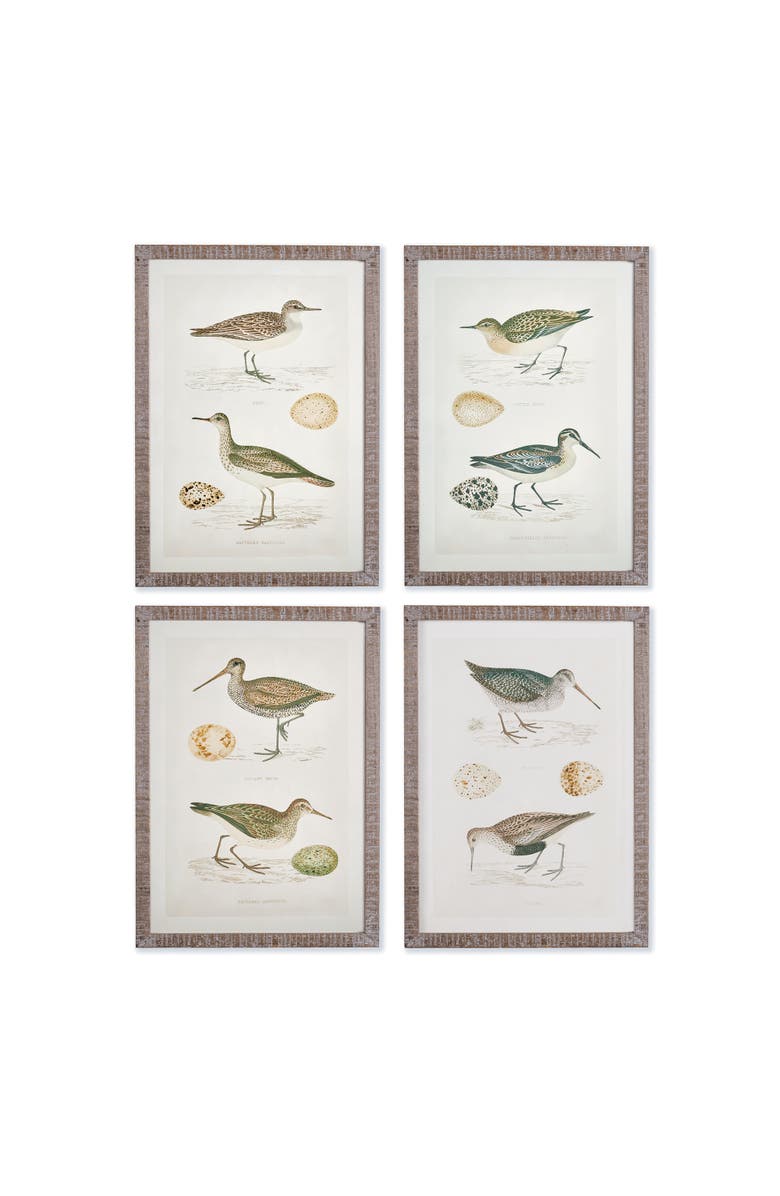 Napa Home & Garden Coastal Birds Study Set of 4, Main, color, Green