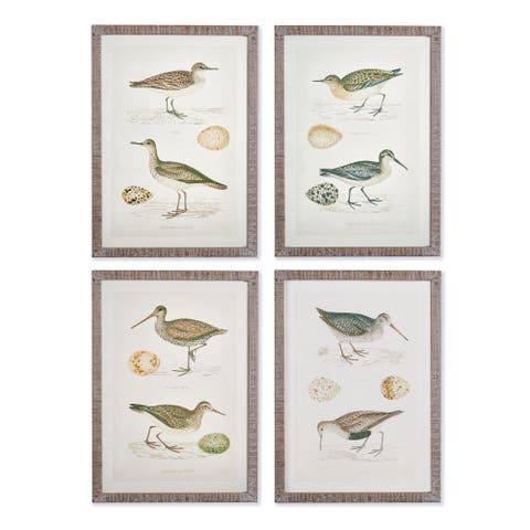 Coastal Birds Study Set of 4